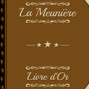 Photo livre or