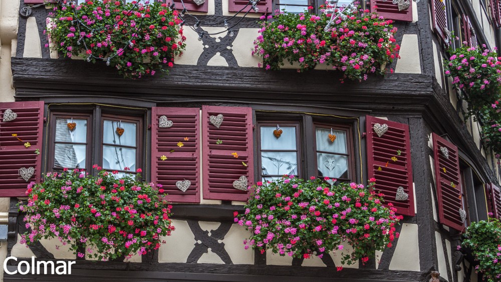 Colmar